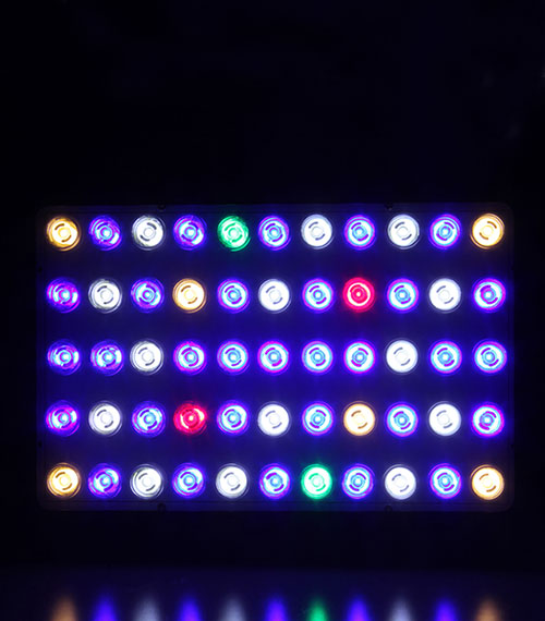 LED Aquarienlicht, LED Aquariumlicht, LED Aquariumstrahler